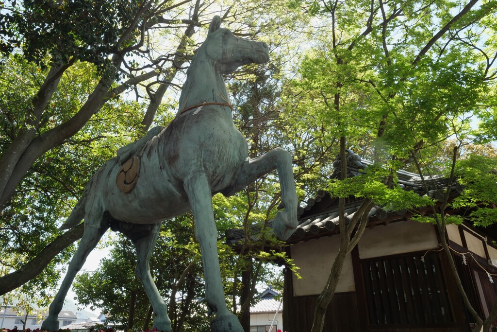 神馬飛ぶが如く