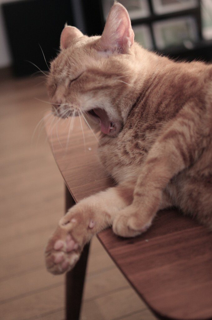 リラックス…