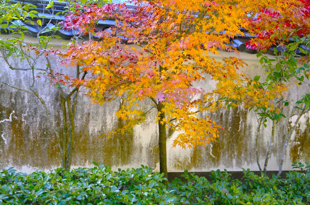 印象派気取り…