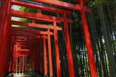 聖地へ向かって