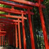 聖地へ向かって