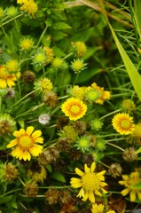 異世界へ 異世界へ