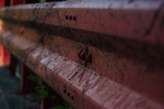 華々しかった頃を…