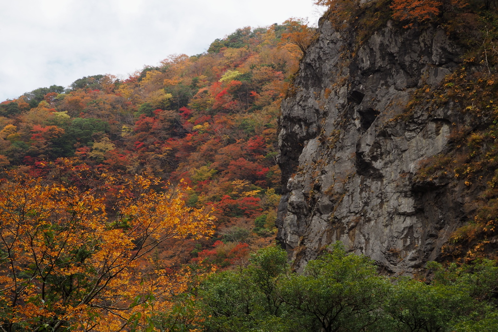 急峻の紅葉