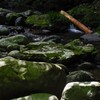 源流を求めて