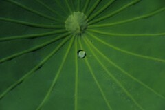 ちっぽけな力
