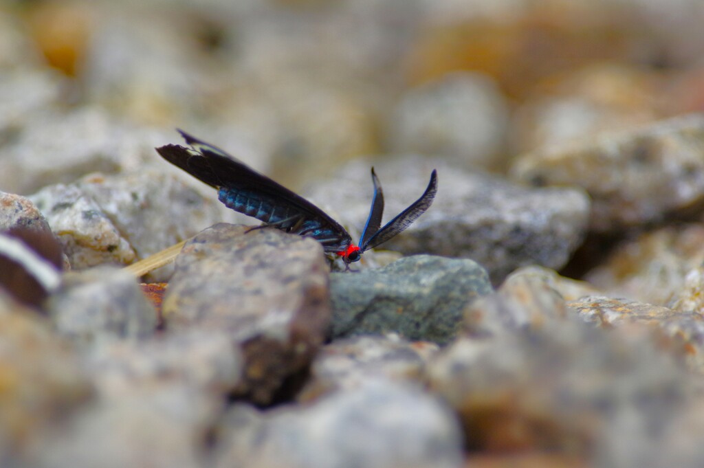 小さく…美しく…