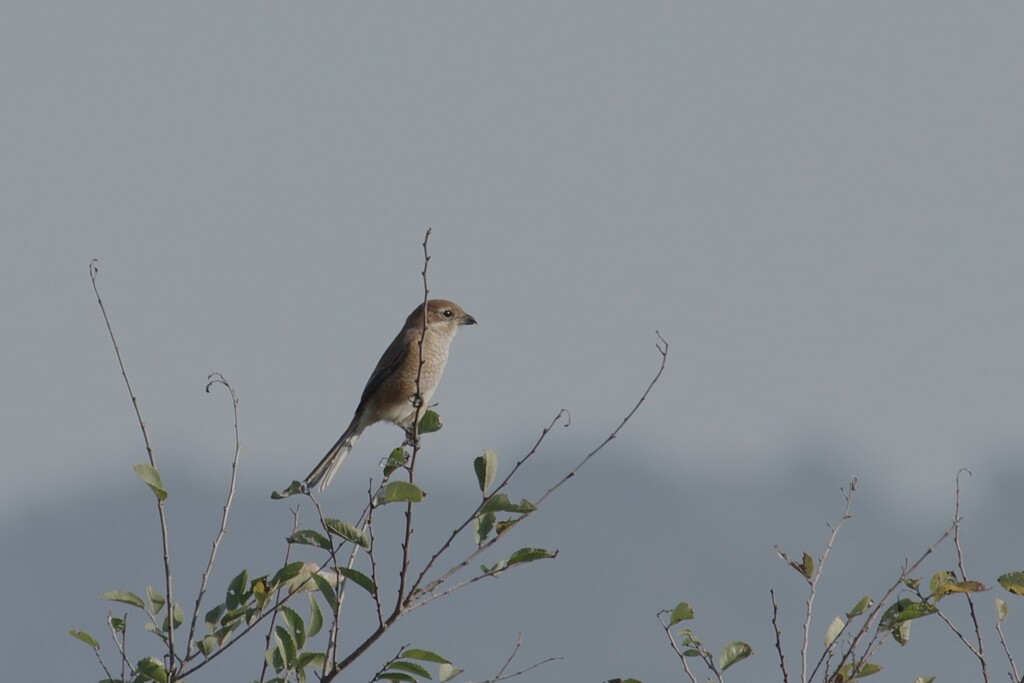 これからの季節