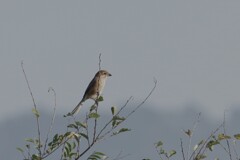 これからの季節