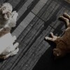 お互い年取ったねぇ…