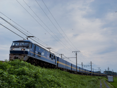 貨物列車・新垂井線 ＃1
