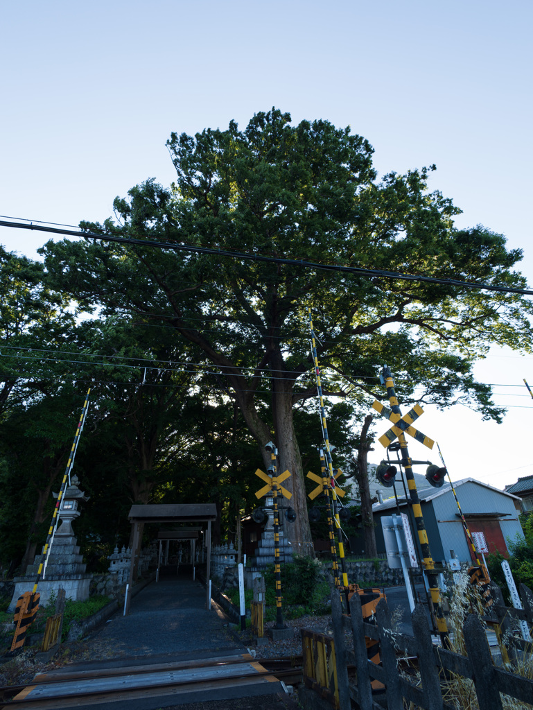 杉生神社 ＃2
