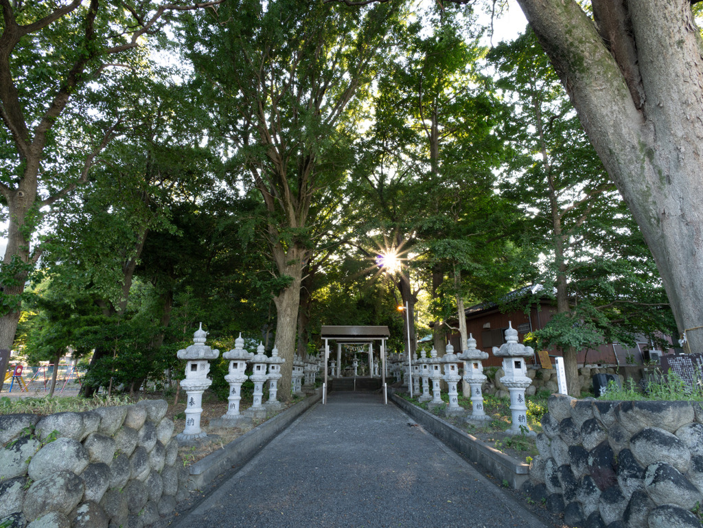 杉生神社 ＃3