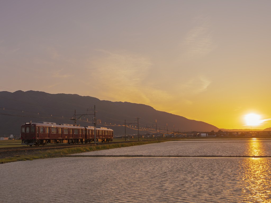 養老鉄道の旅 夕陽 ＃2