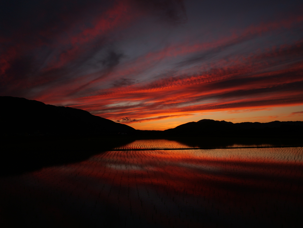 夕焼け ＃1