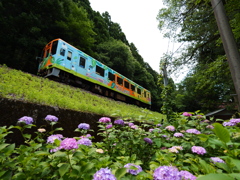 樽見鉄道 ＃2 高尾駅