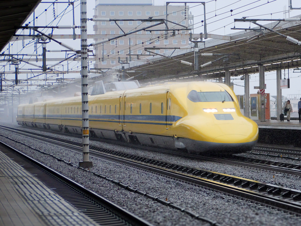 叢雨