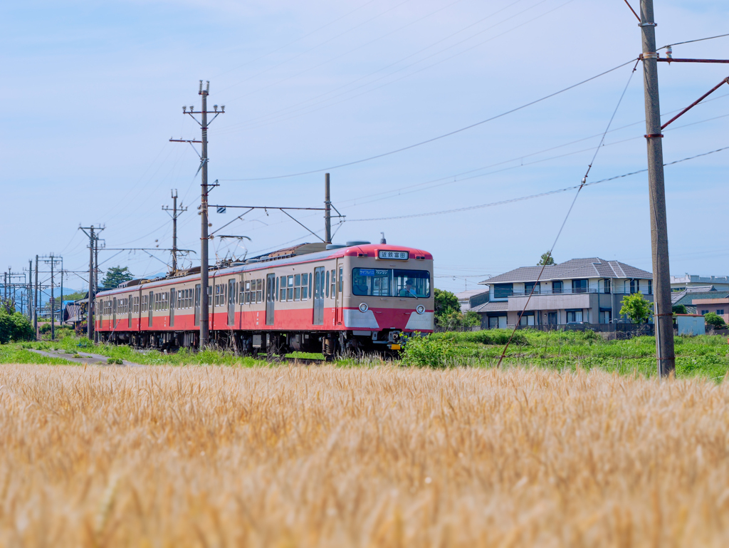 三岐鉄道の旅 ＃2　麦畑