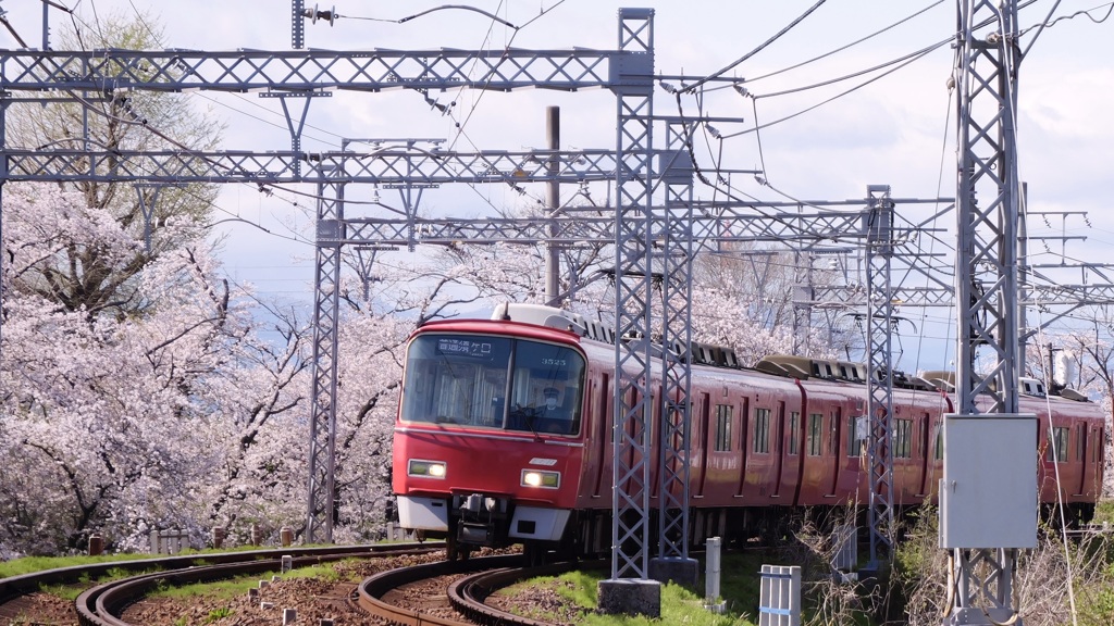 散りゆく桜と笠松カーブ