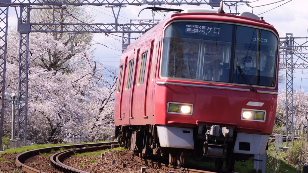 散りゆく桜と笠松カーブ