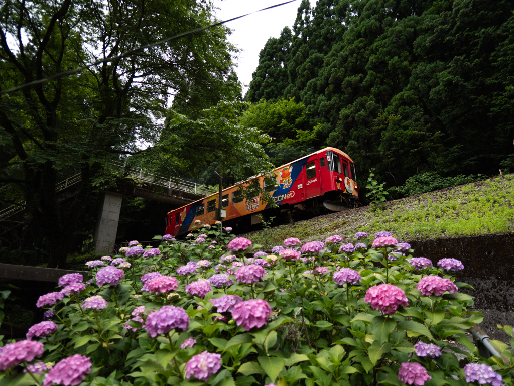 樽見鉄道 ＃12 高尾駅