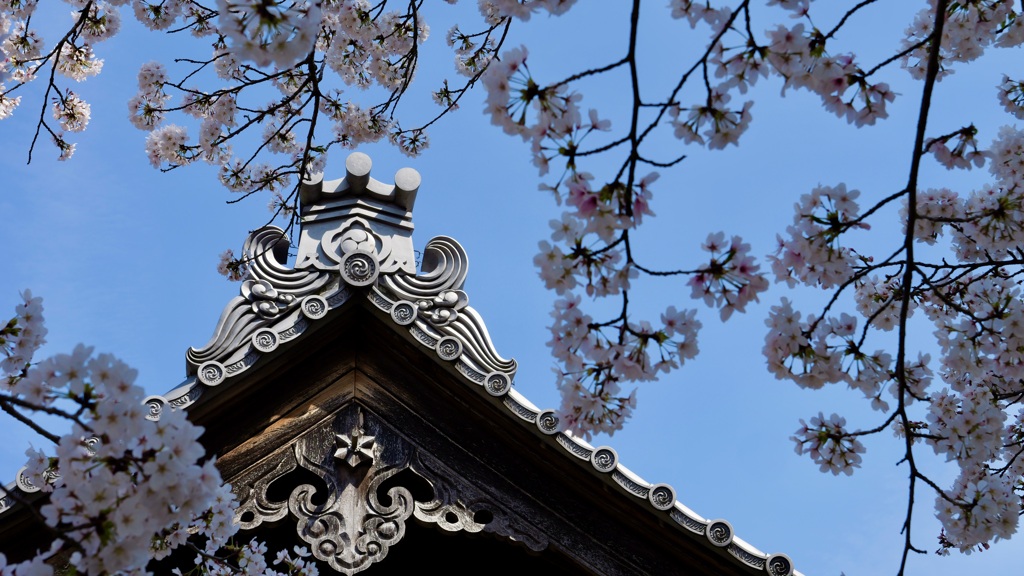 田舎の神社にて