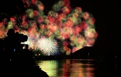 彩雲孔雀