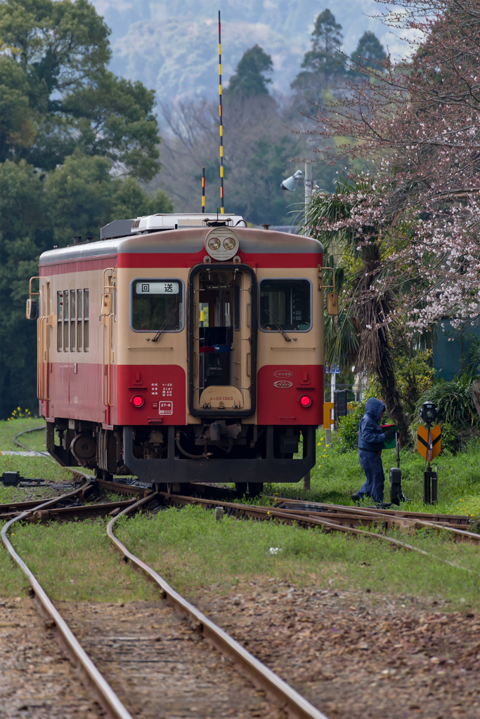 桜といすみ鉄道その2の5