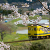 桜といすみ鉄道その1の3