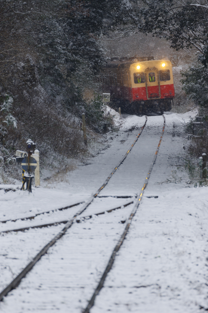 雪と小湊鉄道9