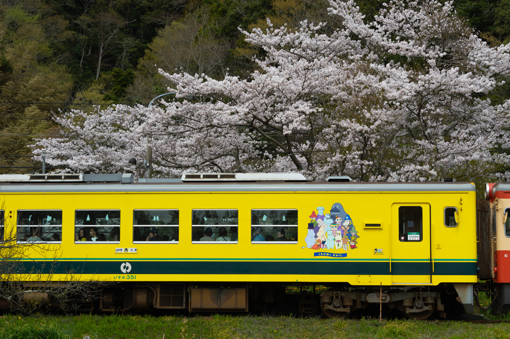 桜といすみ鉄道その2の8