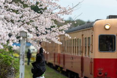 桜と小湊鉄道その1の10