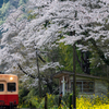 桜と小湊鉄道その1の6