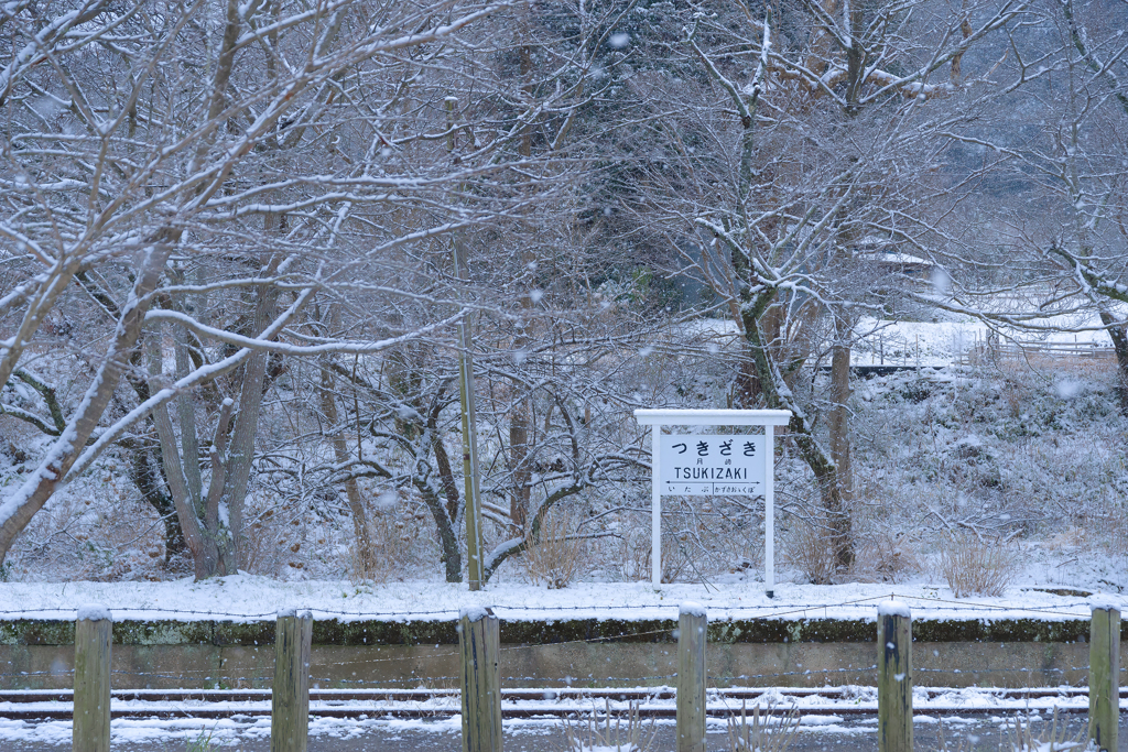 雪と小湊鉄道4