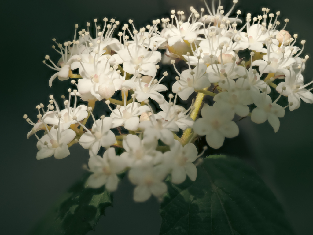 東山動植物園にて