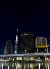浅草の夜空