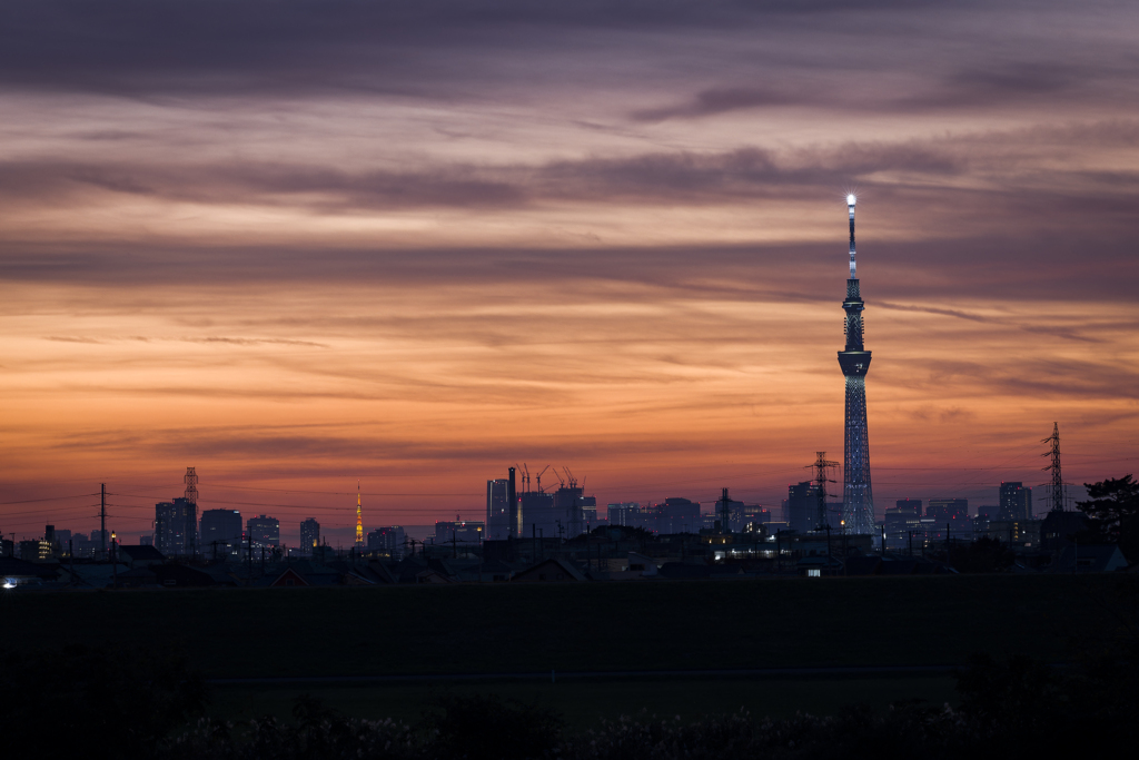 夕暮れとスカイツリー