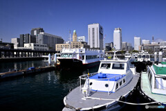 横浜港 小型船波止場