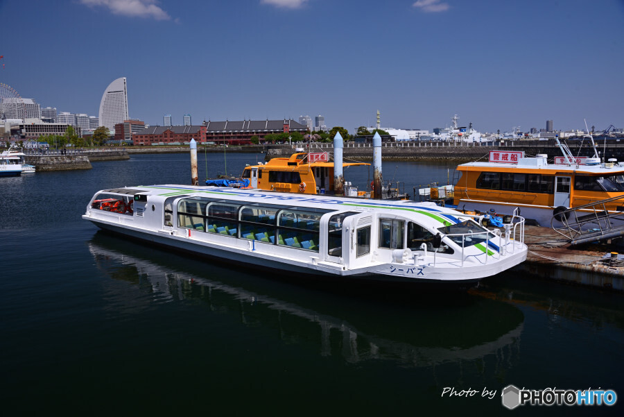 シーバス