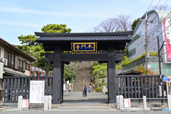 池上本門寺 総門