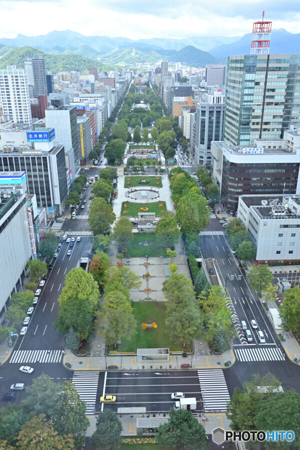 大通り公園
