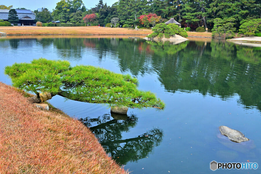 秋色岡山後楽園