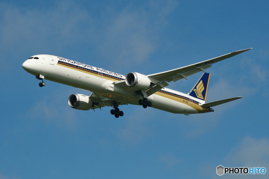 Singapore Airlines