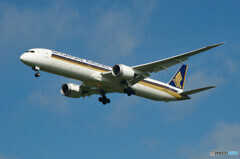 Singapore Airlines