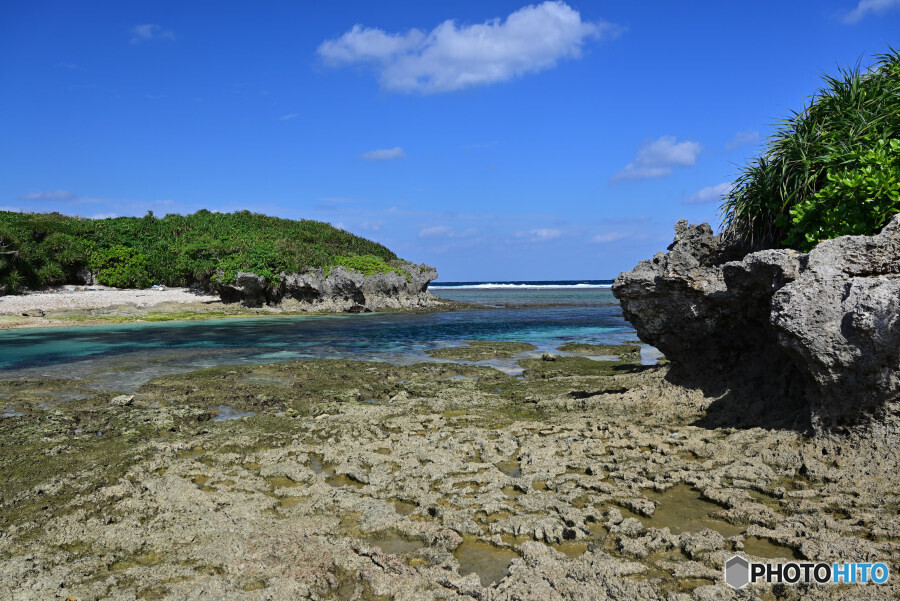 備瀬崎海岸