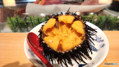 柄付きウニ