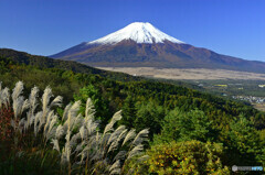 ススキと富士山