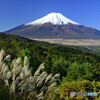 ススキと富士山