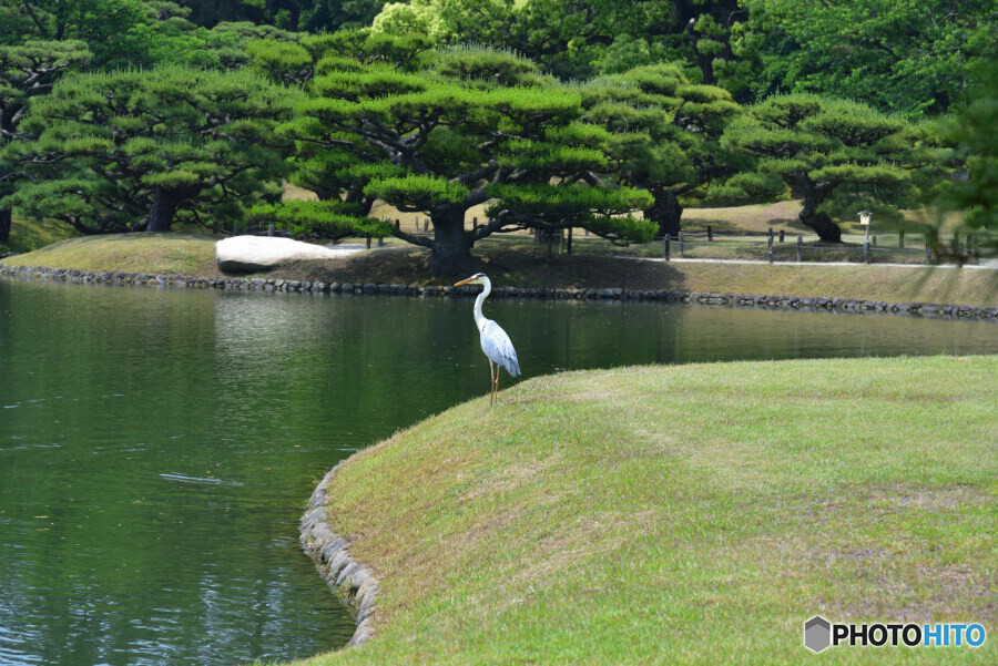栗林公園にて