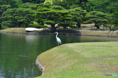 栗林公園にて